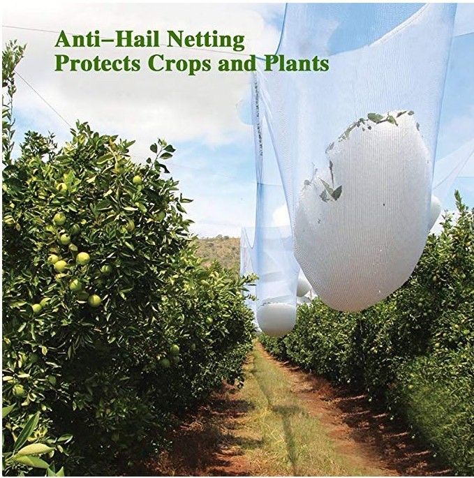 Agricultural HDPE White Anti Hail Net , UV Stabilized Fruit Tree Netting