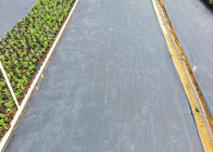 Dark Green Weed Control Landscape Fabric , HDPE / PP Black Woven Landscape Fabric