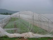HDPE Agricultura Insect Proof Garden Netting  , 20-100 Mesh Insect Mesh Protection Netting