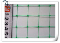 UV Stabilized PP Plant Support Net  Economical Green Pea Bean Netting